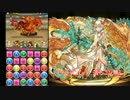 【パズドラ】　チャレダンLv9～落ちコンなし～　に挑戦
