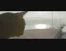 猫踏んじゃったによる主題と変奏 in Cat moll     byクロネコ
