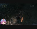 今更ブラッドボーン part60