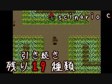 未来に向けて頑張りがちな動物探索実況【リンダキューブアゲイン】 #55