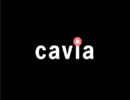 【MAD】リビングデッド・ユース【cavia】