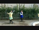 【budbloom】 君色に染まる 踊ってみた