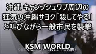 沖縄 キャンプシュワブ周辺の狂気の沖縄サヨクが一般市民を襲撃