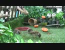窓際食堂2017の1