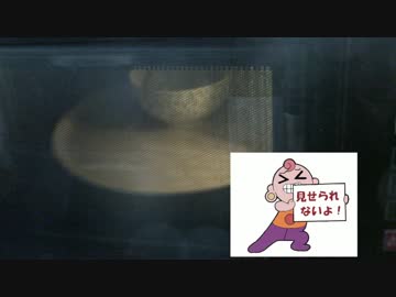 電子レンジを実況プレイ