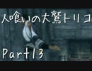 【実況】小さな少年と人喰いの大鷲の物語【トリコ】Part13