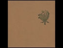 Taraxacum / Leif
