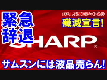 【サムスン緊急事態】 ＬＧに泣きついた!液晶パネルを売って欲しいニダ!