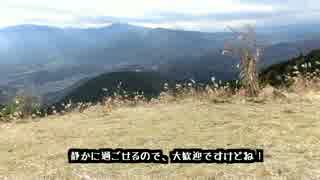 【日帰りハイキング07】神奈川県・シダンゴ山～高松山