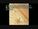 食パン異物混入問題報告書1