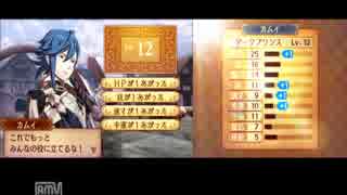 ファイアーエムブレムif　暗夜王国　実況　その５　１/４