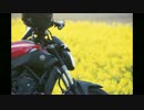 MT-07と、追撃！桜前線！ 【北上編 10日目】