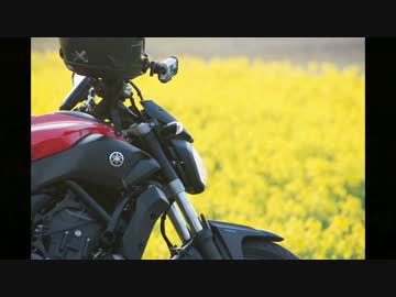 MT-07と、追撃！桜前線！ 【北上編 10日目】