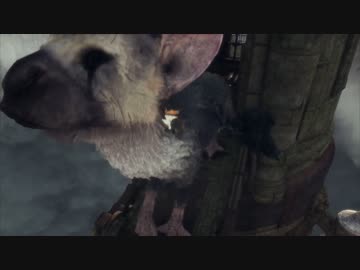 【大鷲トリコ】可愛い獣と二人三脚で歩む物語を実況 part16