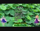 奇跡を信じ立ち向かっていくEXVSFBゆっくり実況 part2