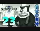 【KH2】光の心と闇の抜け殻【キングダムハーツⅡ】#23【KINGDOM HEARTS Ⅱ】