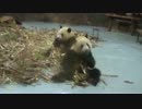 2016/05/22　夕方の幼年園