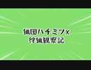 【MHX】猟団ハチミツX 狩猟観察記-part5-【実況】