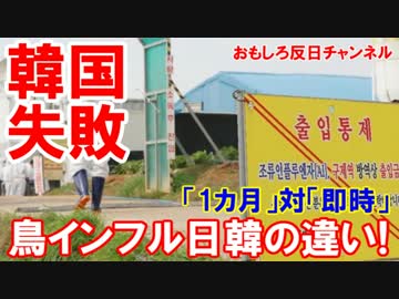 【韓国は失敗した国】 鳥インフルにみる日韓の違い！韓国はまだ続く！