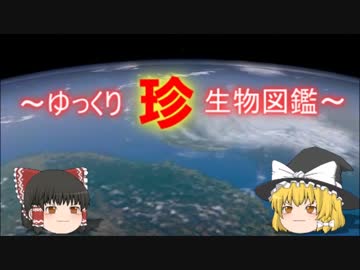 ～ゆっくり　珍　生物図鑑～　新・48回