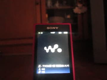 MVI_8090