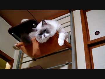 時定　なげキッス