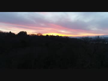 2016-12-21 ドローンで都立桜ケ丘公園 Part.3 HD