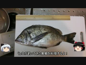釣ったクロダイを「もろみホイル焼き」でいただきます。