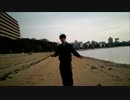 瞬星八極拳究極奥義グレートマグナムフォーロッドマン