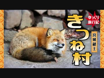【もふもふ動画】宮城蔵王キツネ村に行ってきた【予告編】