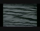 ムッシュかまやつ＆井上日徳「雷門Project」深紅の地軸