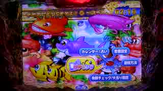 【パチンコ】CRAスーパー海物語IN沖縄3 魚群タイム② 花