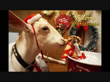 アドベントヤギカレンダーまとめ［DAY1～DAY25］