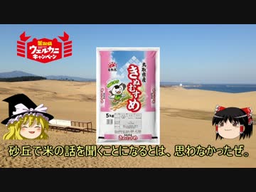 第17回 都道府県のお米【鳥取県のむすめ】