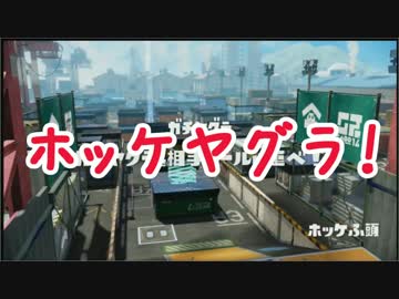 【実況】ホッケヤグラ野良ってきた【Splatoon】