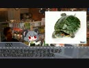 ハチュカス☆☆☆☆☆