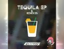 Logue4 - Tequila feat.薛南 (Acro remix)
