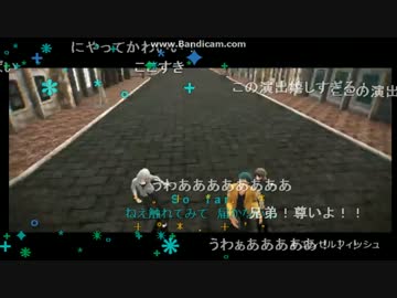 エンゼルfish　キャプ