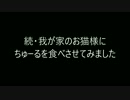 続・我が家のお猫様にちゅーるを食べさせてみた