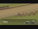 配合理論ガバガバな馬主が牝馬六冠を目指す　２２年目（４７年目）