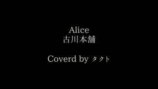 【Cover】Alice【タクト】