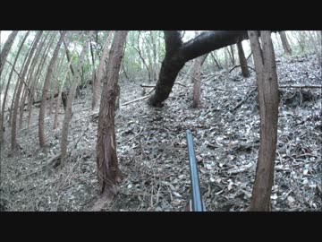 【閲覧注意】 猟犬日誌　猟師と猟犬の猪猟 Part23