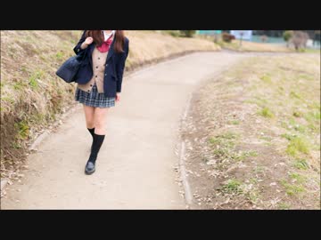 【男声四部合唱】乙女のたわわ　歌ってみた/The Shubidovers