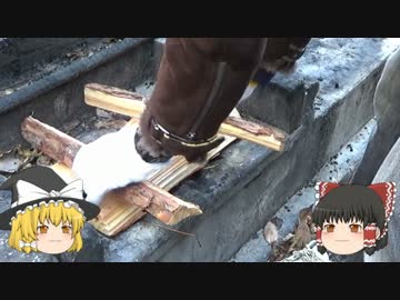 クリスマスはやっぱり1人で山だよね！！①