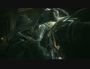 【Bloodborne】自分のための実況プレイ【ゆっくり実況】 part33
