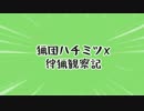 【MHX】猟団ハチミツX 狩猟観察記-part6-【実況】