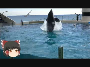 ゆっくりれいむのアクア放浪記　#20　鴨川シーワールド