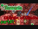 【Terraria】ハードコアでterraria最強完璧を目指す　～part41～
