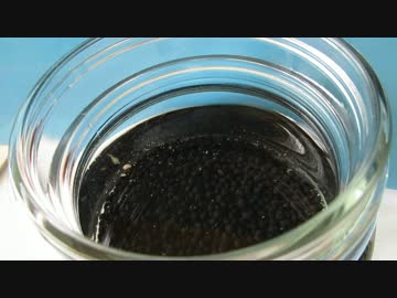 【魚釣り】激レア魚（１２０ｃｍ水槽）✿´◕‿◕｀✿