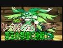 クローノス大密林に挑戦その２！！【パズドラ動画第２５回目】
